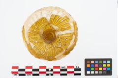 Foto von Glasrippenschale (NHMW-PRAE-025911)